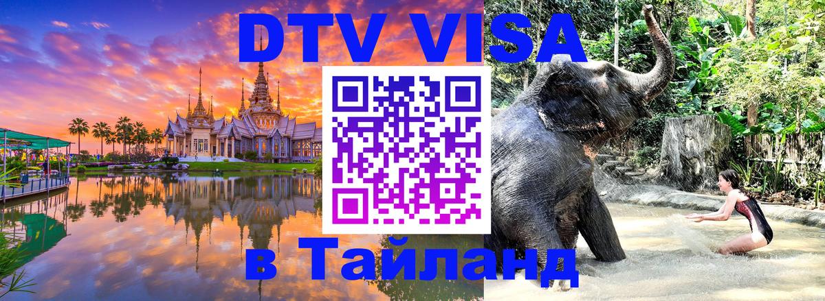 Сколько стоит DTV виза — актуальные цены, оформление даже без документов - 05.12.2025 